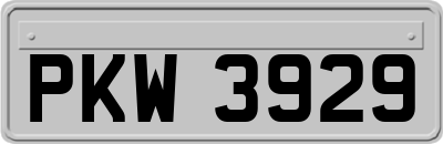 PKW3929