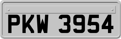 PKW3954