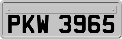 PKW3965