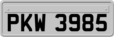 PKW3985