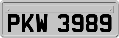 PKW3989