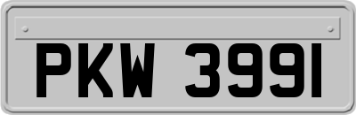 PKW3991