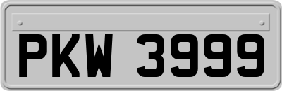 PKW3999