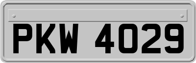 PKW4029