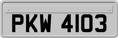 PKW4103