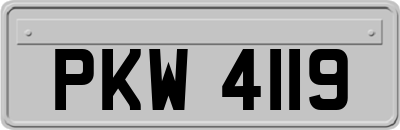 PKW4119