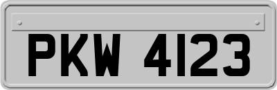 PKW4123