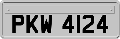 PKW4124