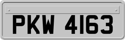 PKW4163