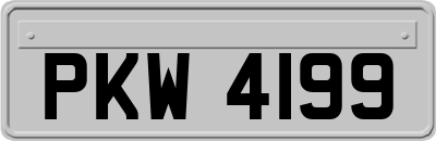 PKW4199