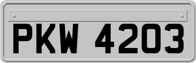 PKW4203