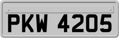 PKW4205