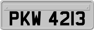 PKW4213