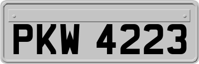 PKW4223