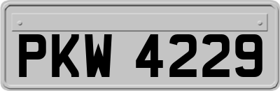 PKW4229
