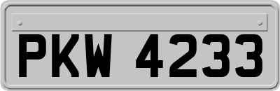 PKW4233