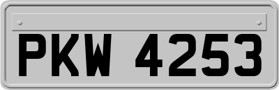 PKW4253