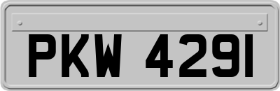 PKW4291
