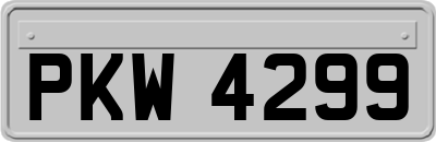 PKW4299