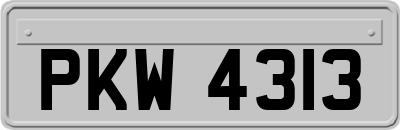 PKW4313