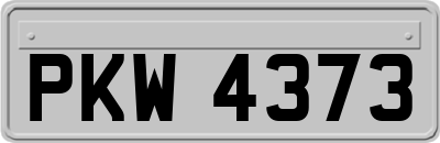 PKW4373