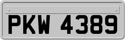 PKW4389
