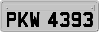 PKW4393