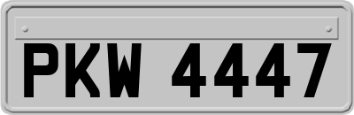 PKW4447