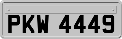 PKW4449