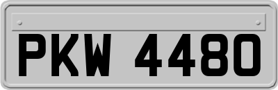 PKW4480