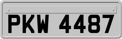 PKW4487