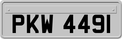 PKW4491