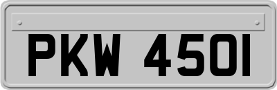 PKW4501