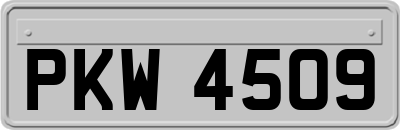 PKW4509