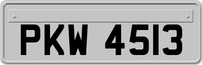 PKW4513
