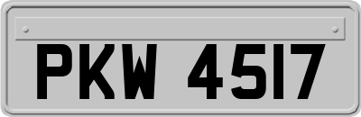 PKW4517