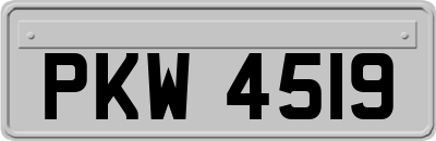 PKW4519