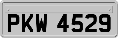 PKW4529