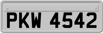 PKW4542