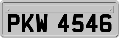PKW4546