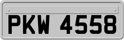 PKW4558