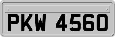 PKW4560