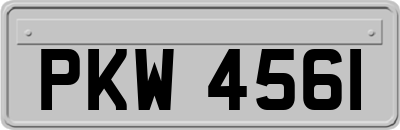 PKW4561