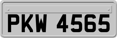 PKW4565