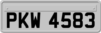 PKW4583