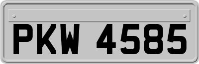 PKW4585
