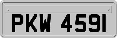 PKW4591