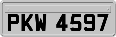 PKW4597