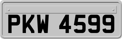 PKW4599