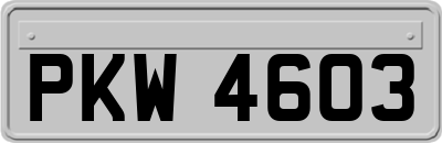 PKW4603